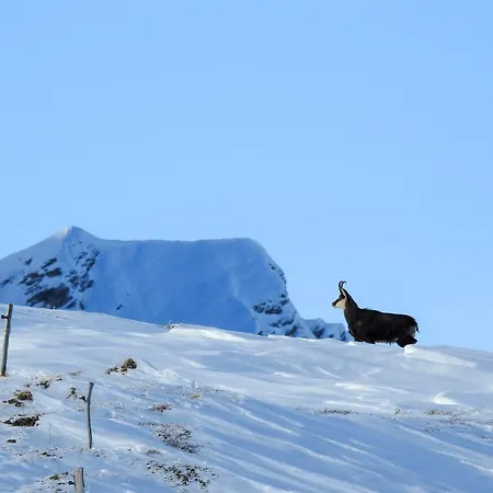 Bed and breakfast Ustreia Orta