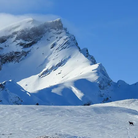 Bed & Breakfast Ustreia Orta Lohn