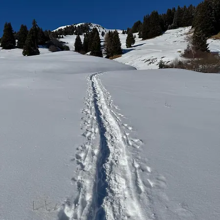 Bed & Breakfast Ustreia Orta