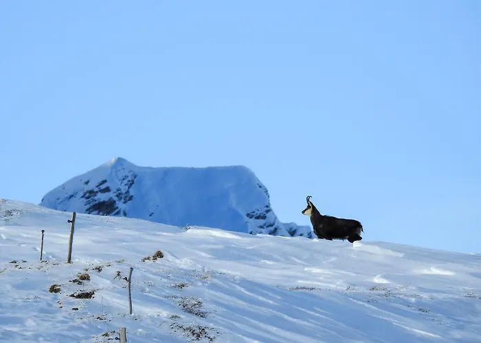 Alojamento de Acomodação e Pequeno-almoço Ustreia Orta