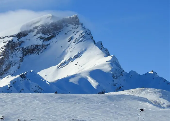 Bed & Breakfast Ustreia Orta Lohn