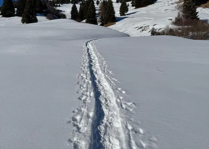 Bed & Breakfast Ustreia Orta