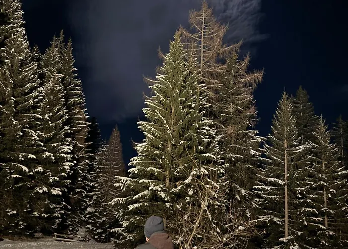 Ustreia Orta 3* Lohn