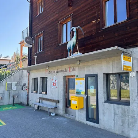 Ustreia Orta Alojamento de Acomodação e Pequeno-almoço 3*